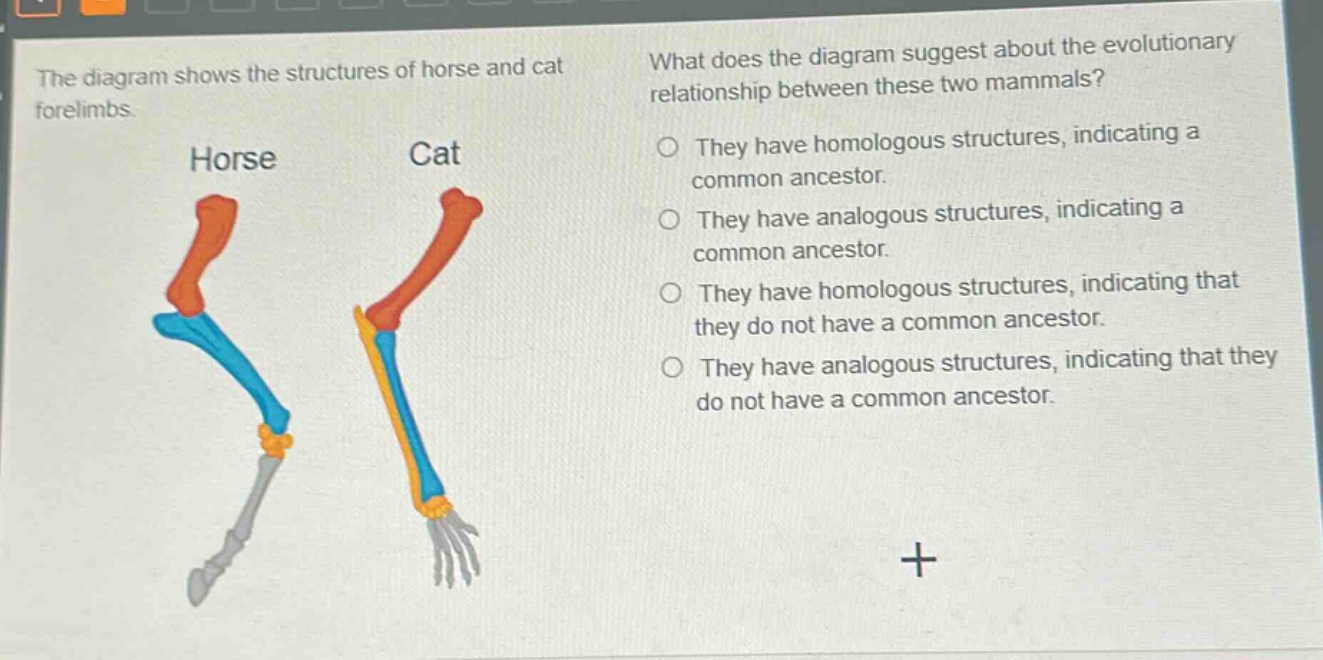 the diagram shows the structures of horse and cat forelimbs. what does the diagram suggest about the evolutionary relationship between these two mammals? they have homologous structures, indicating a common ancestor. they have analogous structures, indicating a common ancestor. they have homologous structures, indicating that they do not have a common ancestor. they have analogous structures, indicating that they do not have a common ancestor.