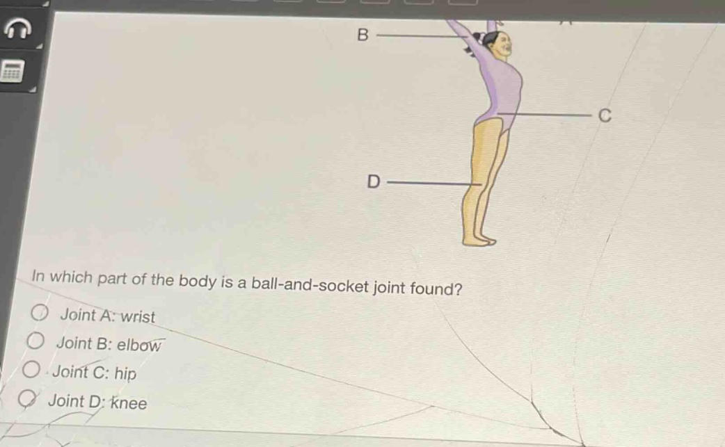 in which part of the body is a ball - and - socket joint found?\no joint a: wrist\no joint b: elbow\no joint c: hip\no joint d: knee