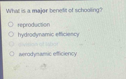 what is a major benefit of schooling?\no reproduction\no hydrodynamic efficiency\no division of labor\no aerodynamic efficiency