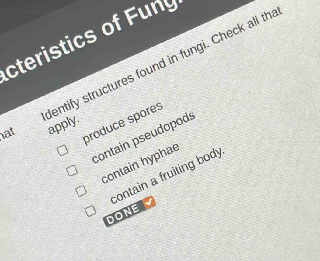 identify structures found in fungi. check all that apply. produce spores contain pseudopods contain hyphae contain a fruiting body. done