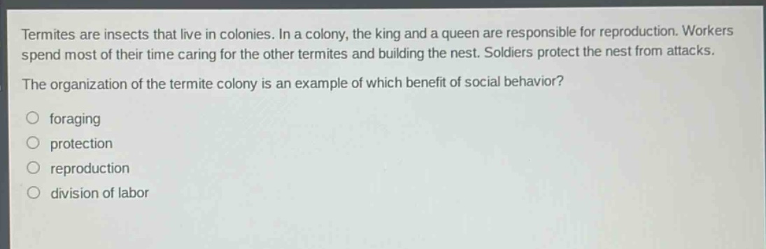 termites are insects that live in colonies. in a colony, the king and a queen are responsible for reproduction. workers spend most of their time caring for the other termites and building the nest. soldiers protect the nest from attacks. the organization of the termite colony is an example of which benefit of social behavior?\nforaging\nprotection\nreproduction\ndivision of labor