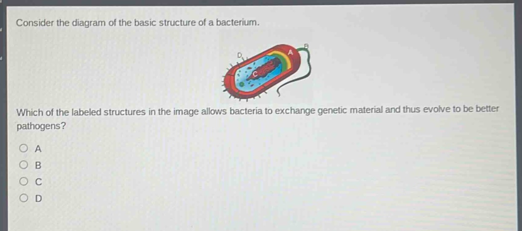 consider the diagram of the basic structure of a bacterium. which of the labeled structures in the image allows bacteria to exchange genetic material and thus evolve to be better pathogens?\na\nb\nc\nd