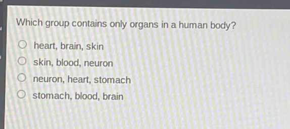 which group contains only organs in a human body?\nheart, brain, skin\nskin, blood, neuron\nneuron, heart, stomach\nstomach, blood, brain
