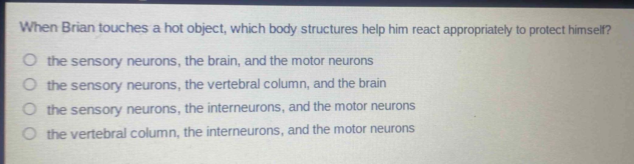 when brian touches a hot object, which body structures help him react appropriately to protect himself?\n the sensory neurons, the brain, and the motor neurons\n the sensory neurons, the vertebral column, and the brain\n the sensory neurons, the interneurons, and the motor neurons\n the vertebral column, the interneurons, and the motor neurons