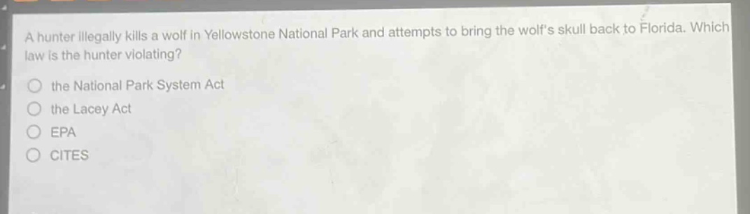 a hunter illegally kills a wolf in yellowstone national park and attempts to bring the wolfs skull back to florida. which law is the hunter violating?\n○ the national park system act\n○ the lacey act\n○ epa\n○ cites