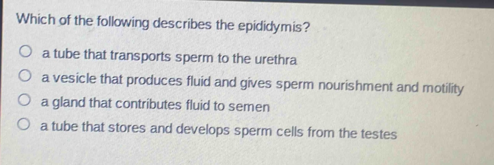which of the following describes the epididymis?\n○ a tube that transports sperm to the urethra\n○ a vesicle that produces fluid and gives sperm nourishment and motility\n○ a gland that contributes fluid to semen\n○ a tube that stores and develops sperm cells from the testes