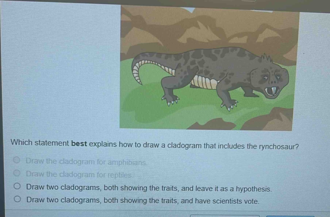 which statement best explains how to draw a cladogram that includes the rynchosaur?\ndraw the cladogram for amphibians.\ndraw the cladogram for reptiles.\ndraw two cladograms, both showing the traits, and leave it as a hypothesis.\ndraw two cladograms, both showing the traits, and have scientists vote.