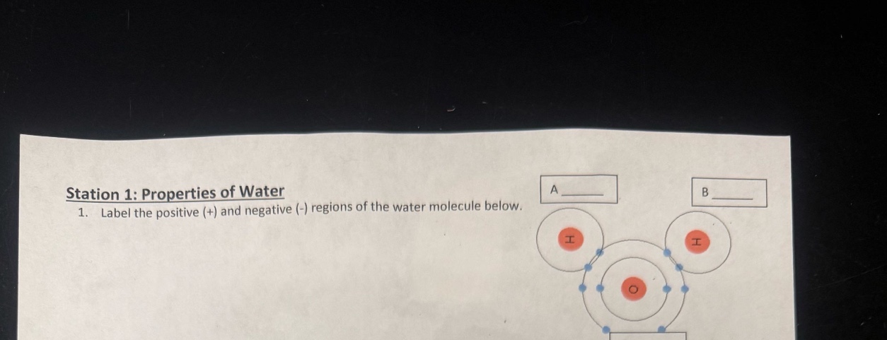 station 1: properties of water\n1. label the positive (+) and negative (-) regions of the water molecule below.