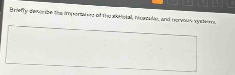 briefly describe the importance of the skeletal, muscular, and nervous systems.