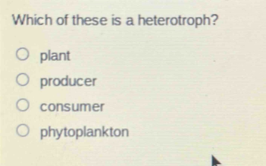 which of these is a heterotroph?\nplant\nproducer\nconsumer\nphytoplankton