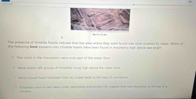 the presence of trilobite fossils indicate that the area where they were found was once covered by water. which of the following best explains why trilobite fossils have been found in mountains high above sea level?\nthe rocks in the mountains were once part of the ocean floor.\nwave action left groups of trilobites living high above the water level.\nwind moved fossil trilobites from dry ocean beds to the tops of mountains.\ntrilobites were buried deep under sediments and turned into magma that was deposited at the top of a volcano.