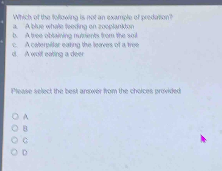 which of the following is not an example of predation?\na. a blue whale feeding on zooplankton\nb. a tree obtaining nutrients from the soil\nc. a caterpillar eating the leaves of a tree\nd. a wolf eating a deer\nplease select the best answer from the choices provided\no a\no b\no c\no d
