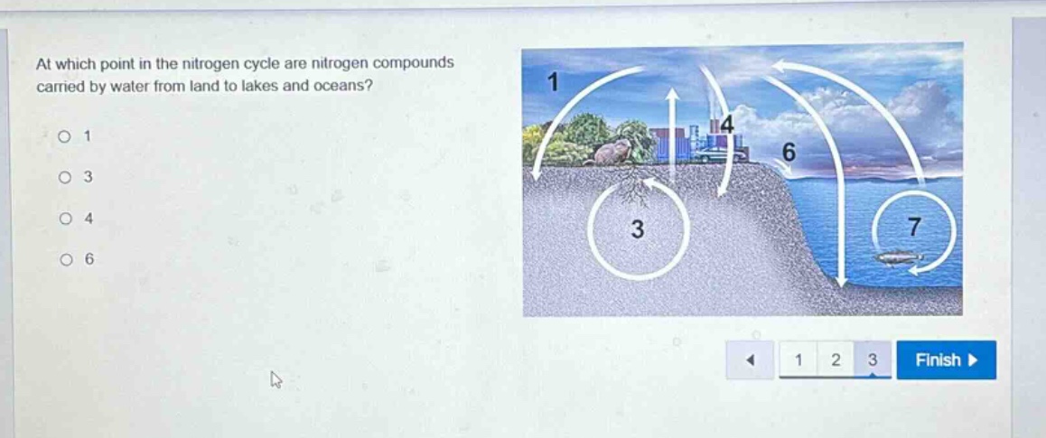at which point in the nitrogen cycle are nitrogen compounds carried by water from land to lakes and oceans?\n1\n3\n4\n6