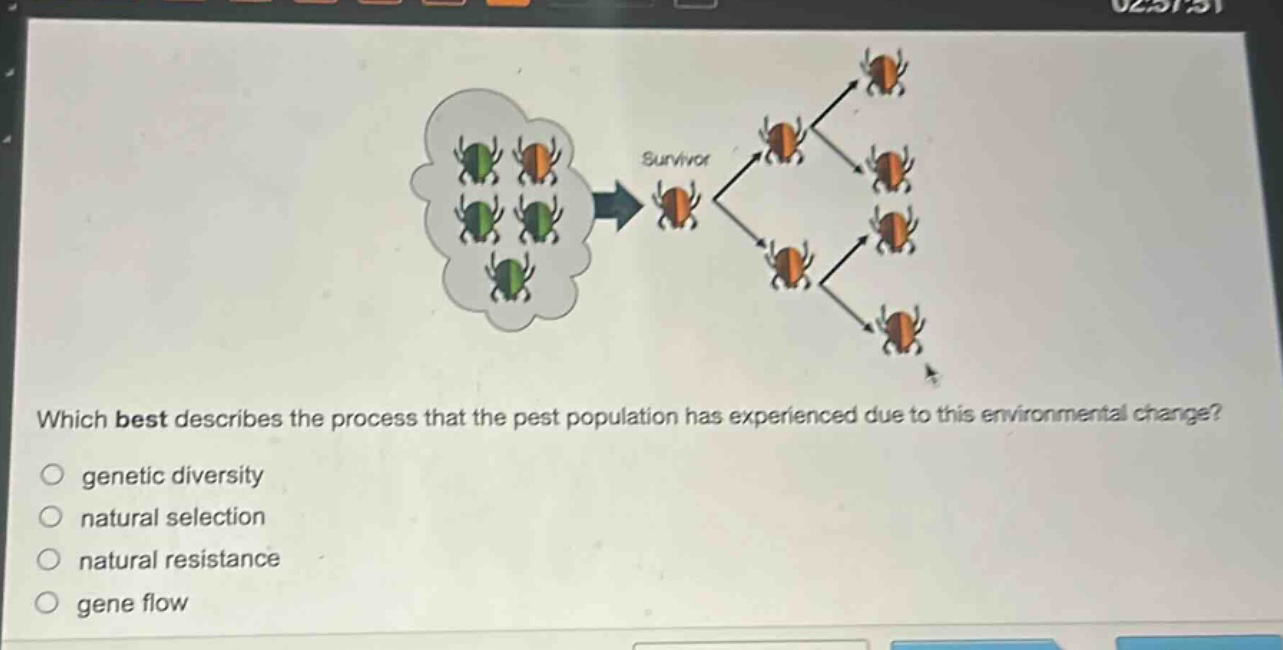 which best describes the process that the pest population has experienced due to this environmental change?\n○ genetic diversity\n○ natural selection\n○ natural resistance\n○ gene flow