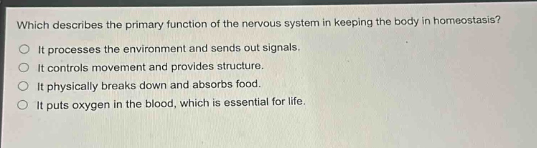 which describes the primary function of the nervous system in keeping the body in homeostasis?\nit processes the environment and sends out signals.\nit controls movement and provides structure.\nit physically breaks down and absorbs food.\nit puts oxygen in the blood, which is essential for life.