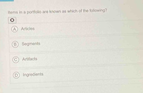 items in a portfolio are known as which of the following?\na articles\nb segments\nc artifacts\nd ingredients