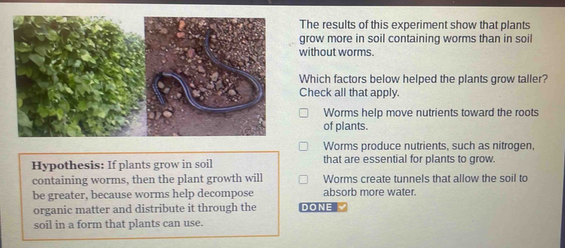 the results of this experiment show that plants grow more in soil containing worms than in soil without worms. which factors below helped the plants grow taller? check all that apply. worms help move nutrients toward the roots of plants. worms produce nutrients, such as nitrogen, that are essential for plants to grow. worms create tunnels that allow the soil to absorb more water. hypothesis: if plants grow in soil containing worms, then the plant growth will be greater, because worms help decompose organic matter and distribute it through the soil in a form that plants can use.