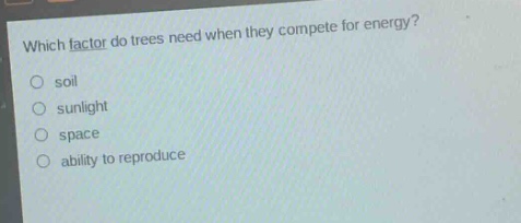 which factor do trees need when they compete for energy?\nsoil\nsunlight\nspace\nability to reproduce