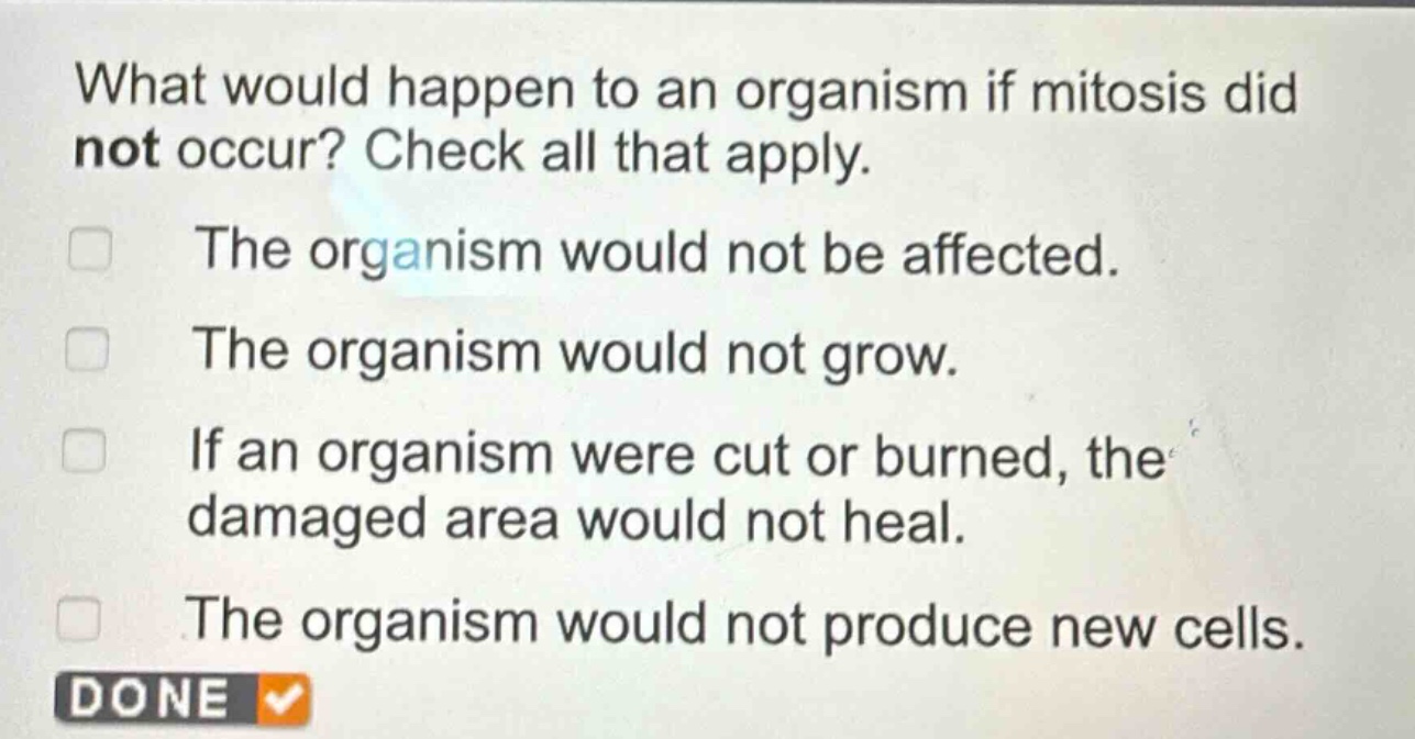 what would happen to an organism if mitosis did not occur? check all that apply. the organism would not be affected. the organism would not grow. if an organism were cut or burned, the damaged area would not heal. the organism would not produce new cells. done