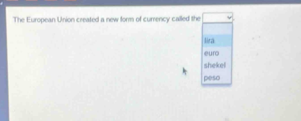the european union created a new form of currency called the