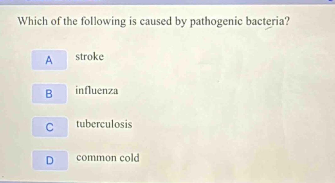 which of the following is caused by pathogenic bacteria?\na stroke\nb influenza\nc tuberculosis\nd common cold