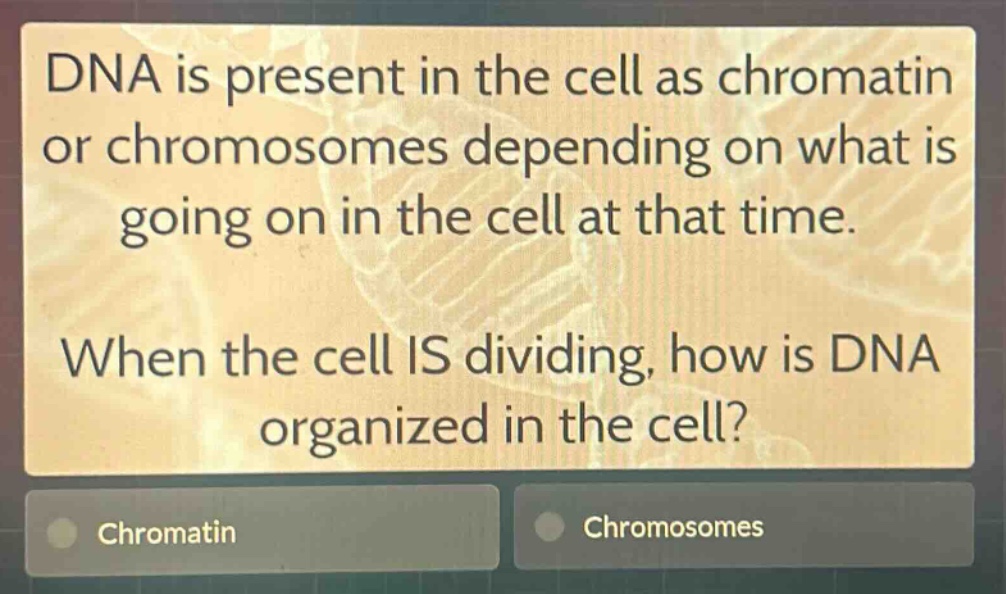 dna is present in the cell as chromatin or chromosomes depending on what is going on in the cell at that time. when the cell is dividing, how is dna organized in the cell? chromatin chromosomes