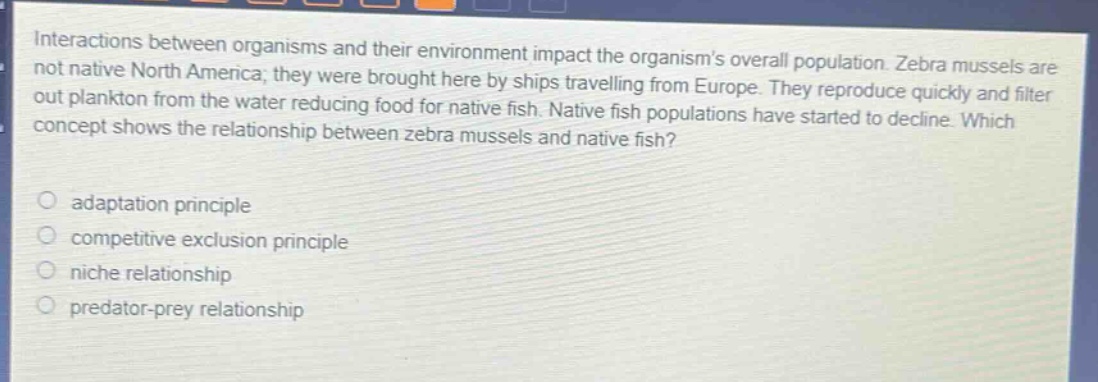 interactions between organisms and their environment impact the organisms overall population. zebra mussels are not native north america; they were brought here by ships travelling from europe. they reproduce quickly and filter out plankton from the water reducing food for native fish. native fish populations have started to decline. which concept shows the relationship between zebra mussels and native fish?\n\nadaptation principle\n\ncompetitive exclusion principle\n\nniche relationship\n\npredator - prey relationship
