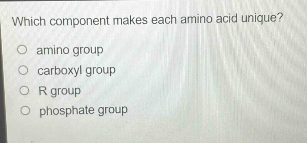 which component makes each amino acid unique?\no amino group\no carboxyl group\no r group\no phosphate group
