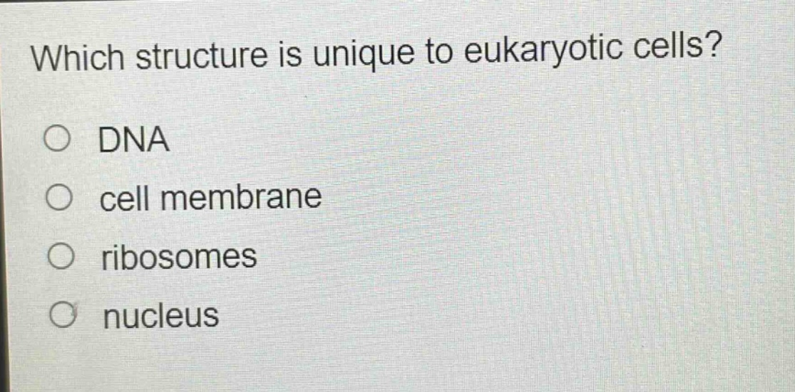 which structure is unique to eukaryotic cells?\no dna\no cell membrane\no ribosomes\no nucleus