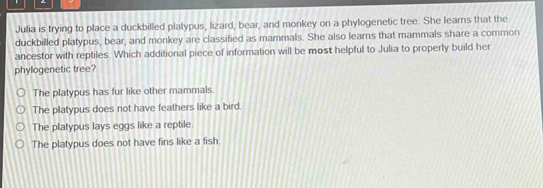 julia is trying to place a duckbilled platypus, lizard, bear, and monkey on a phylogenetic tree. she learns that the duckbilled platypus, bear, and monkey are classified as mammals. she also learns that mammals share a common ancestor with reptiles. which additional piece of information will be most helpful to julia to properly build her phylogenetic tree?\n\nthe platypus has fur like other mammals.\nthe platypus does not have feathers like a bird.\nthe platypus lays eggs like a reptile.\nthe platypus does not have fins like a fish.