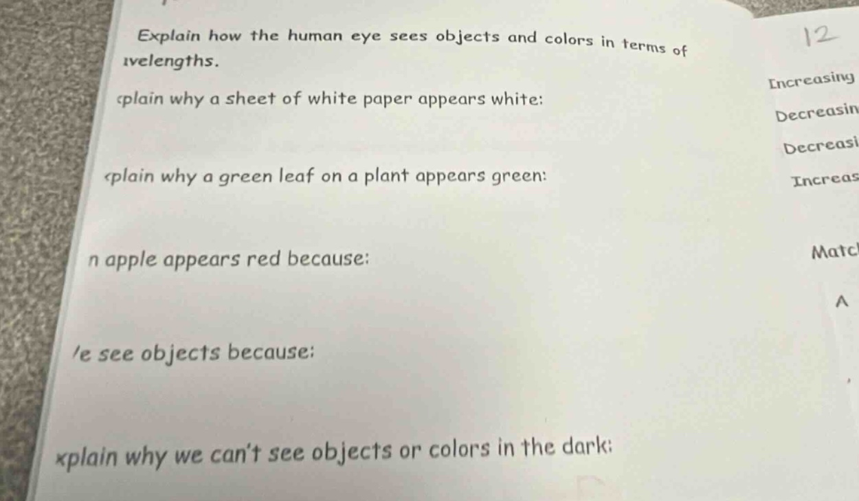 explain how the human eye sees objects and colors in terms of wavelengths.\nexplain why a sheet of white paper appears white:\nexplain why a green leaf on a plant appears green:\nan apple appears red because:\nwe see objects because:\nexplain why we cant see objects or colors in the dark: