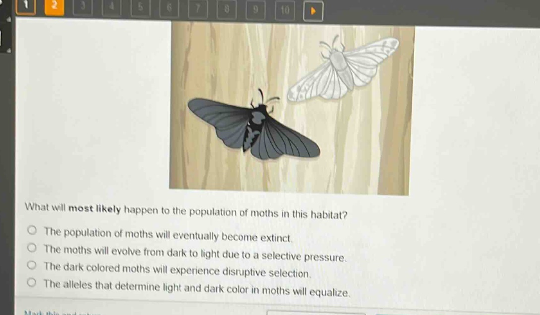 what will most likely happen to the population of moths in this habitat?\nthe population of moths will eventually become extinct.\nthe moths will evolve from dark to light due to a selective pressure.\nthe dark - colored moths will experience disruptive selection.\nthe alleles that determine light and dark color in moths will equalize.