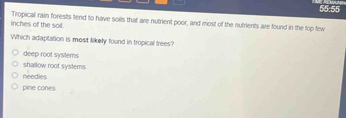 tropical rain forests tend to have soils that are nutrient poor, and most of the nutrients are found in the top few inches of the soil. which adaptation is most likely found in tropical trees? deep root systems shallow root systems needles pine cones