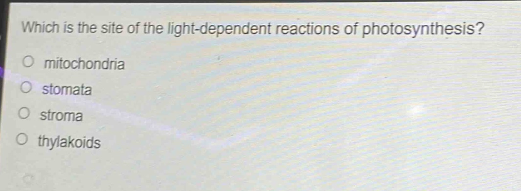 which is the site of the light - dependent reactions of photosynthesis?\no mitochondria\no stomata\no stroma\no thylakoids