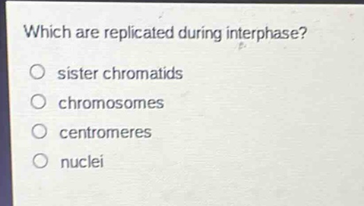 which are replicated during interphase?\no sister chromatids\no chromosomes\no centromeres\no nuclei