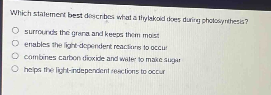 which statement best describes what a thylakoid does during photosynthesis?\no surrounds the grana and keeps them moist\no enables the light - dependent reactions to occur\no combines carbon dioxide and water to make sugar\no helps the light - independent reactions to occur