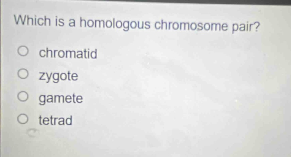 which is a homologous chromosome pair?\no chromatid\no zygote\no gamete\no tetrad