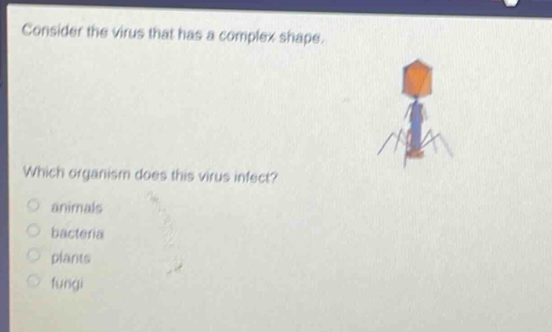 consider the virus that has a complex shape. which organism does this virus infect? animals bacteria plants fungi