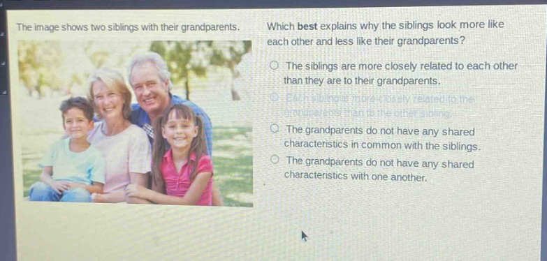 the image shows two siblings with their grandparents. which best explains why the siblings look more like each other and less like their grandparents? the siblings are more closely related to each other than they are to their grandparents. each sibling is more closely related to the grandparents than to the other sibling. the grandparents do not have any shared characteristics in common with the siblings. the grandparents do not have any shared characteristics with one another.