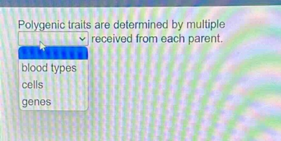 polygenic traits are determined by multiple received from each parent. blood types cells genes