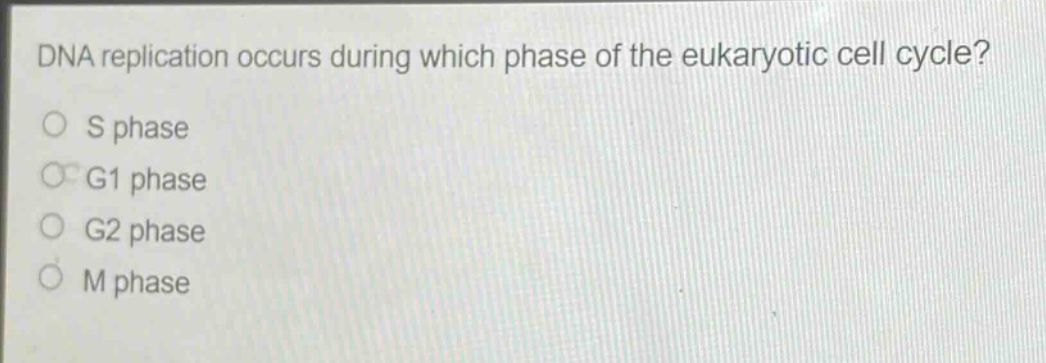 dna replication occurs during which phase of the eukaryotic cell cycle?\ns phase\ng1 phase\ng2 phase\nm phase