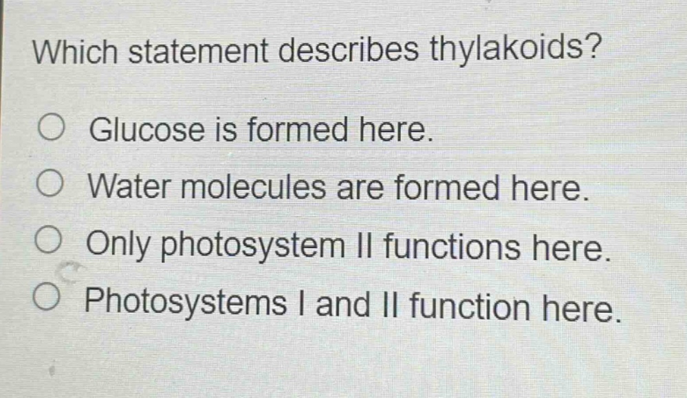 which statement describes thylakoids?\no glucose is formed here.\no water molecules are formed here.\no only photosystem ii functions here.\no photosystems i and ii function here.