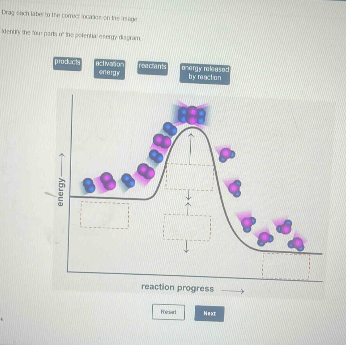 drag each label to the correct location on the image. identify the four parts of the potential energy diagram. products activation energy reactants energy released by reaction energy reaction progress reset next