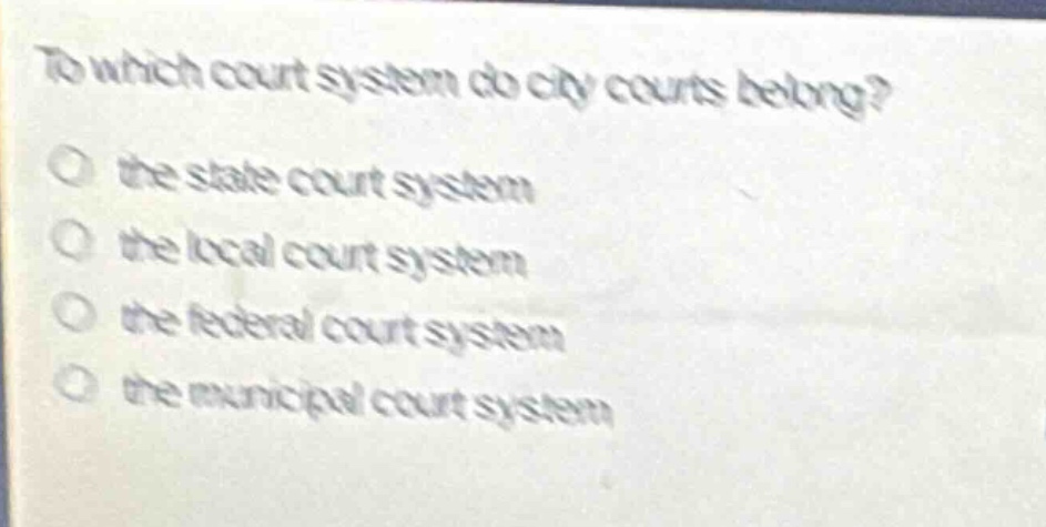 to which court system do city courts belong?\no the state court system\no the local court system\no the federal court system\no the municipal court system