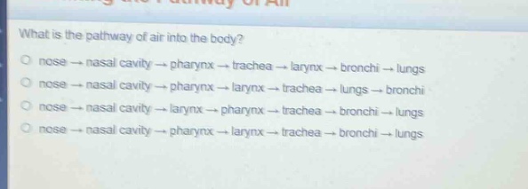 what is the pathway of air into the body?\no nose → nasal cavity → pharynx → trachea → larynx → bronchi → lungs\no nose → nasal cavity → pharynx → larynx → trachea → lungs → bronchi\no nose → nasal cavity → larynx → pharynx → trachea → bronchi → lungs\no nose → nasal cavity → pharynx → larynx → trachea → bronchi → lungs