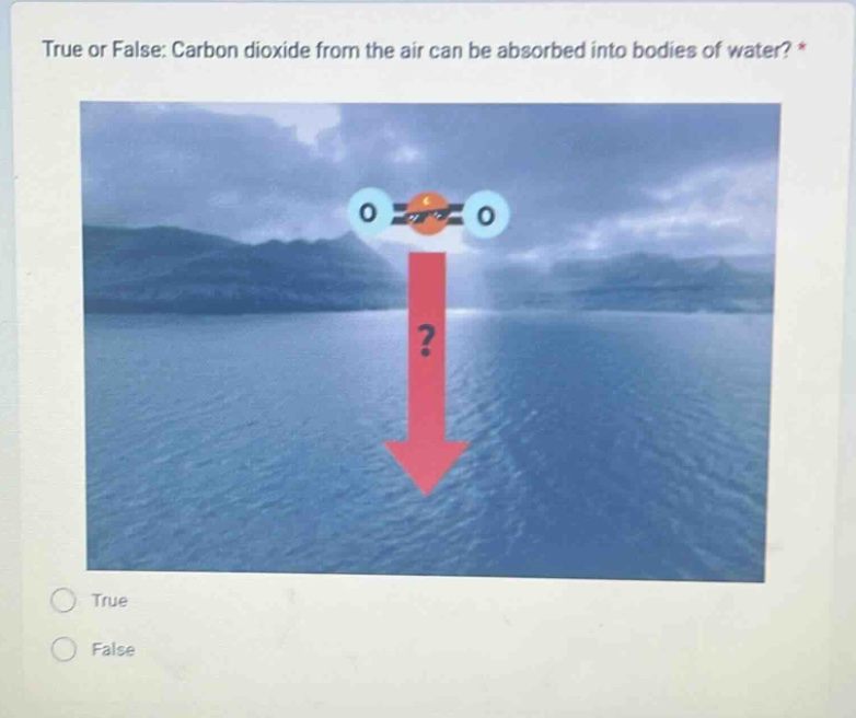 true or false: carbon dioxide from the air can be absorbed into bodies of water? *\ntrue\nfalse