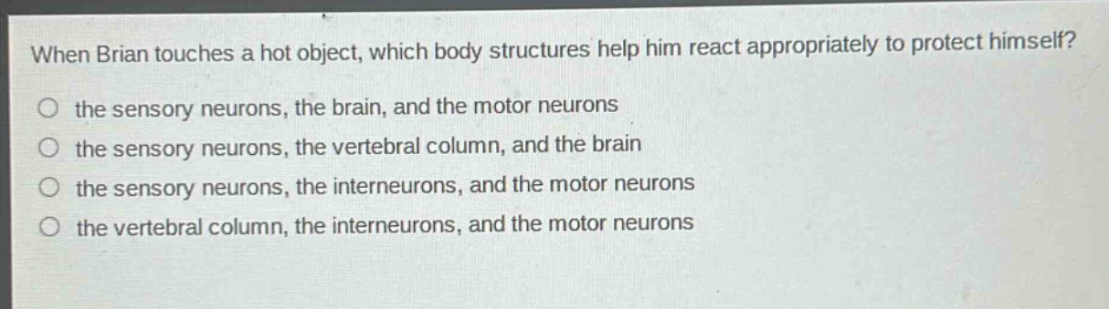 when brian touches a hot object, which body structures help him react appropriately to protect himself?\no the sensory neurons, the brain, and the motor neurons\no the sensory neurons, the vertebral column, and the brain\no the sensory neurons, the interneurons, and the motor neurons\no the vertebral column, the interneurons, and the motor neurons