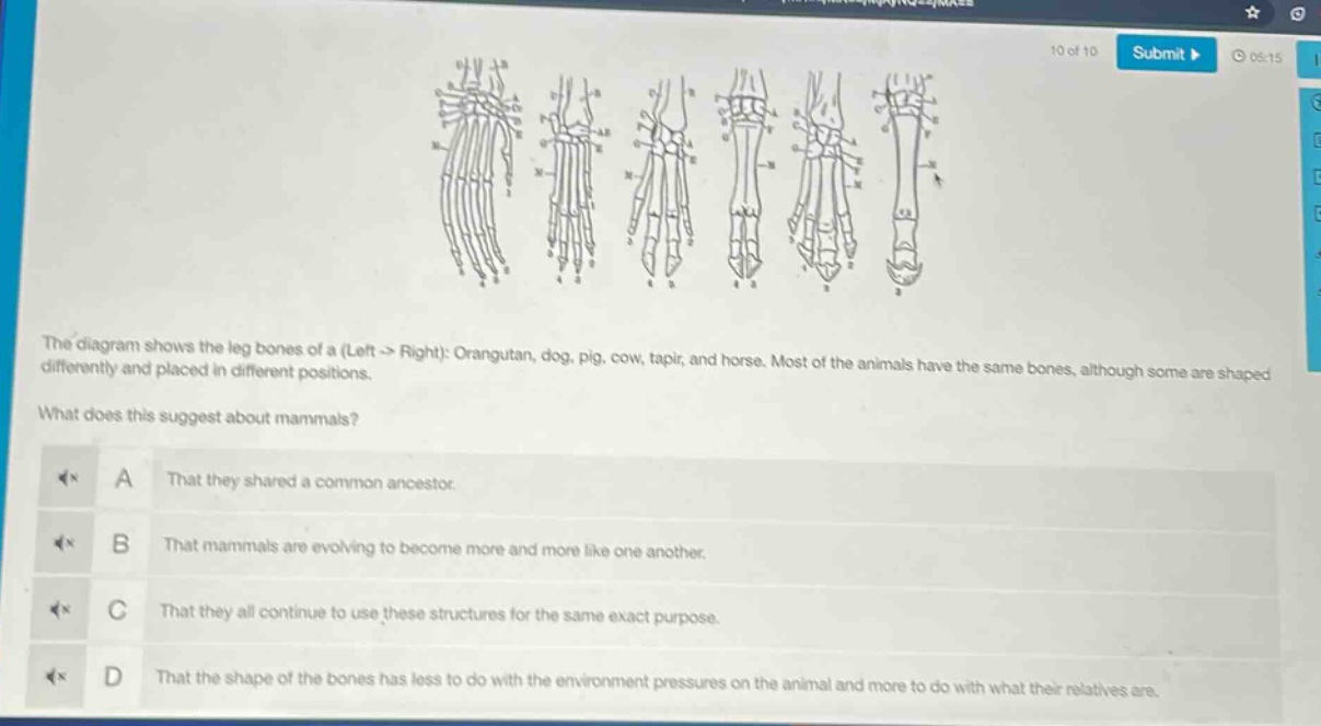 the diagram shows the leg bones of a (left -> right): orangutan, dog, pig, cow, tapir, and horse. most of the animals have the same bones, although some are shaped differently and placed in different positions.\nwhat does this suggest about mammals?\na that they shared a common ancestor.\nb that mammals are evolving to become more and more like one another.\nc that they all continue to use these structures for the same exact purpose.\nd that the shape of the bones has less to do with the environment pressures on the animal and more to do with what their relatives are.