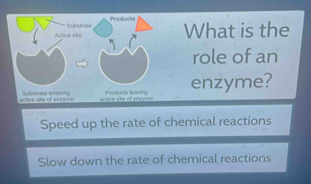 what is the role of an enzyme?\nspeed up the rate of chemical reactions\nslow down the rate of chemical reactions