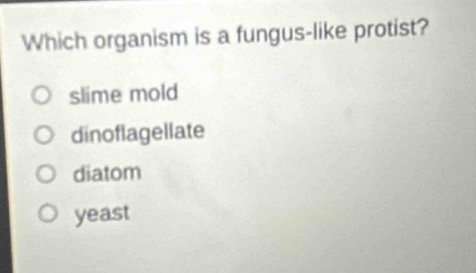 which organism is a fungus - like protist?\no slime mold\no dinoflagellate\no diatom\no yeast